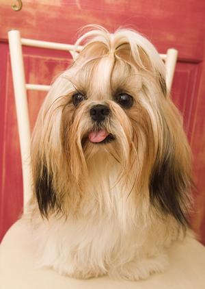 リピート率なら業界随一を誇ります