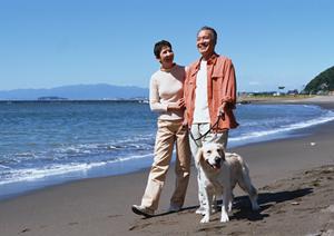 ペットの健康を守る！療法食を通販で簡単に手に入れる方法ガイド