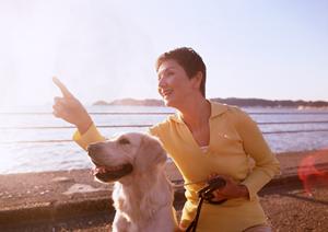 表参道にあるイタリアンのレストラン