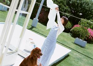 杉並区で安心感があり頼りになる動物病院