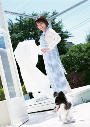 京都市にあるおすすめの動物病院の紹介