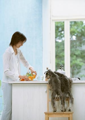 独自の開発で作られたドッグフード通販