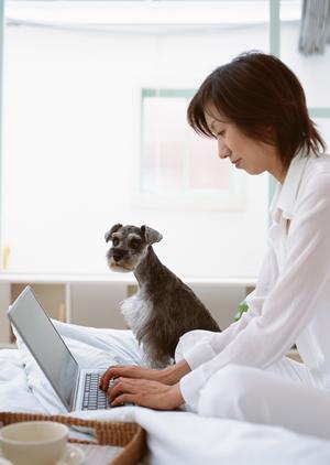 犬に使える無添加シャンプーとは